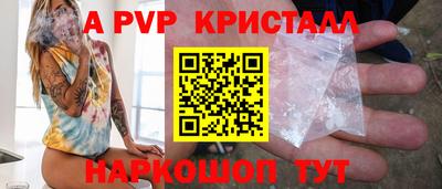 ECSTASY Гатчина