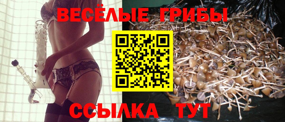Галлюциногенные грибы Cubensis  Вход с VPN  Галлюциногенные грибы MAGIC MUSHROOMS  Надым 